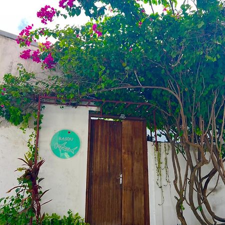 Rasdu View Inn Rasdhoo المظهر الخارجي الصورة